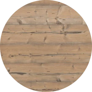 Bramberg Fichte (h1487)