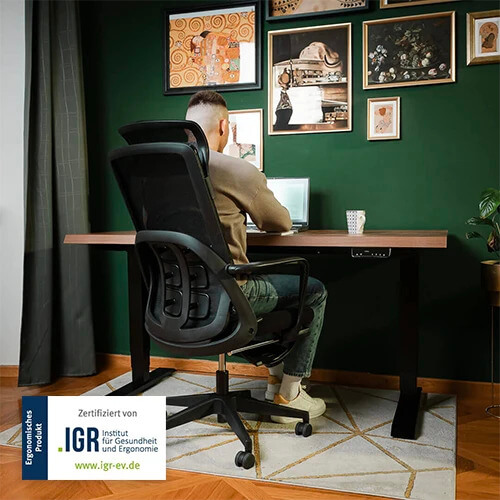 Ergonomischer Bürostuhl Liftor Orca, schwarz