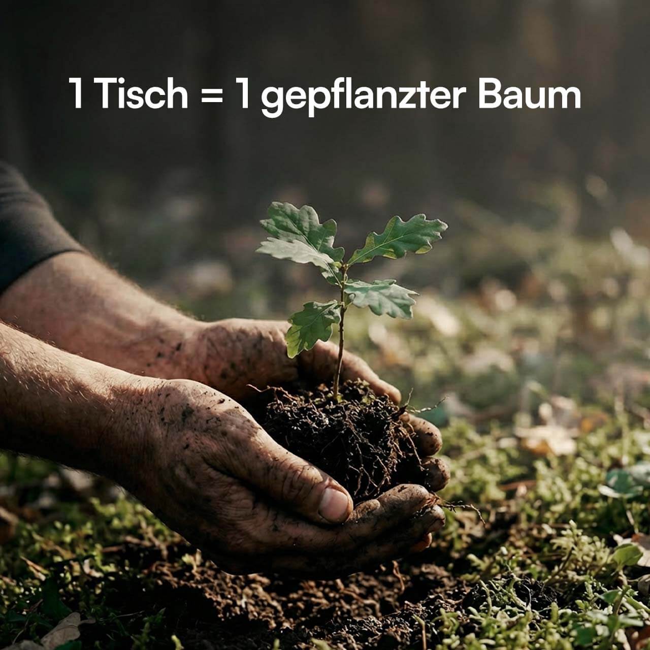 foto52.jpg