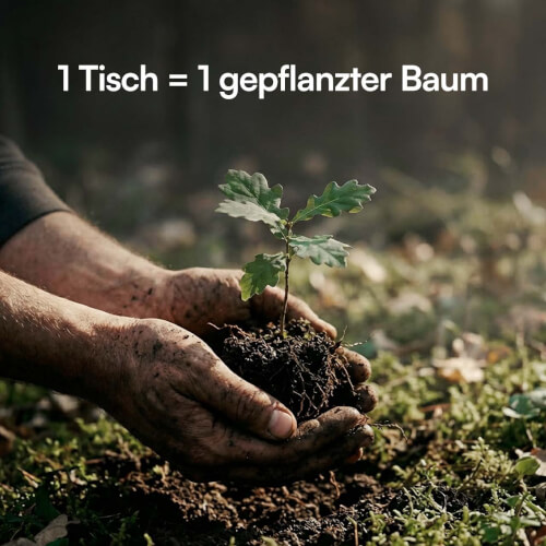 foto52.jpg