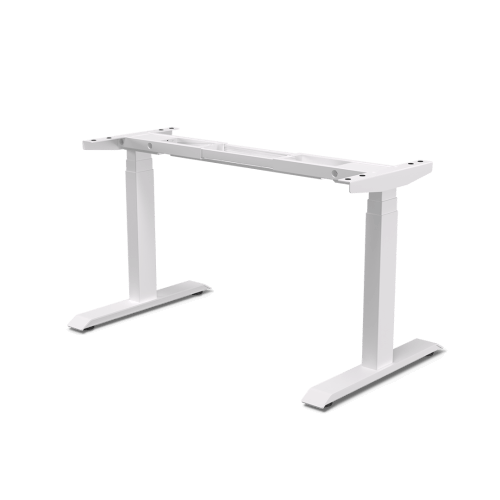 foto27.png